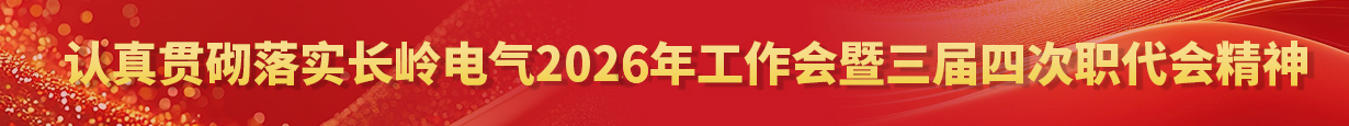 认真贯砌落实长岭电气2025年工作会暨三届四次职代会精神